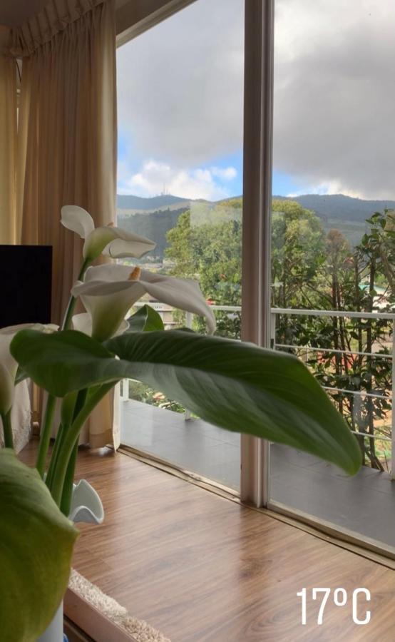 Andora Nuwara Eliya Hotel Ngoại thất bức ảnh